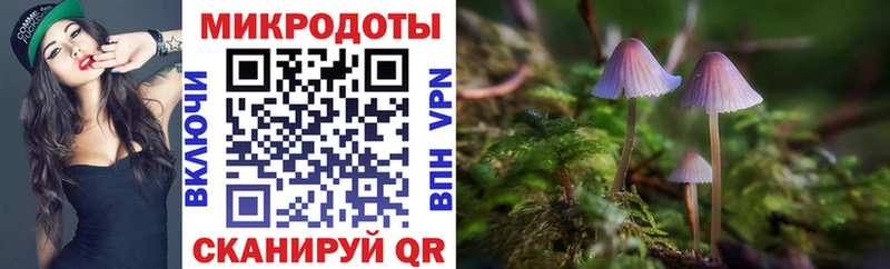 Галлюциногенные грибы ЛСД  Павловская 
